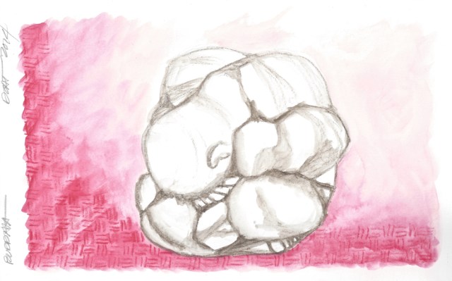 W14 2 SKETCH WEEP BUDDHA 1