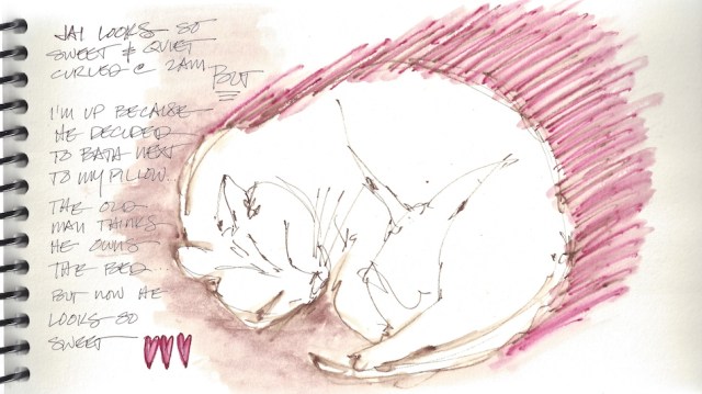 W14 4 11 JAI SLEEPING  1 copy