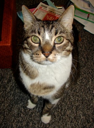 W14 4 19 GARDEN BUDDHA 5