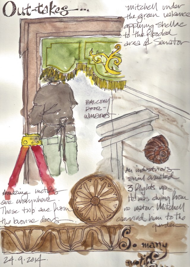 W14 9 24 WA CAPITOL 307:309 1 copy_2