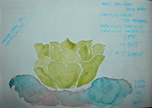 W14 11 30 LOTUS LIGHT 3