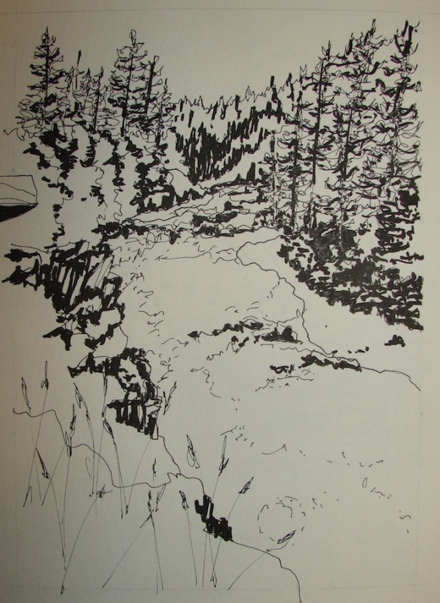 W15 10 VSW CCC NPS CTLA 010