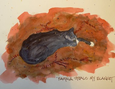 W16 2 23 KAMALA STEALS BLANKET 2