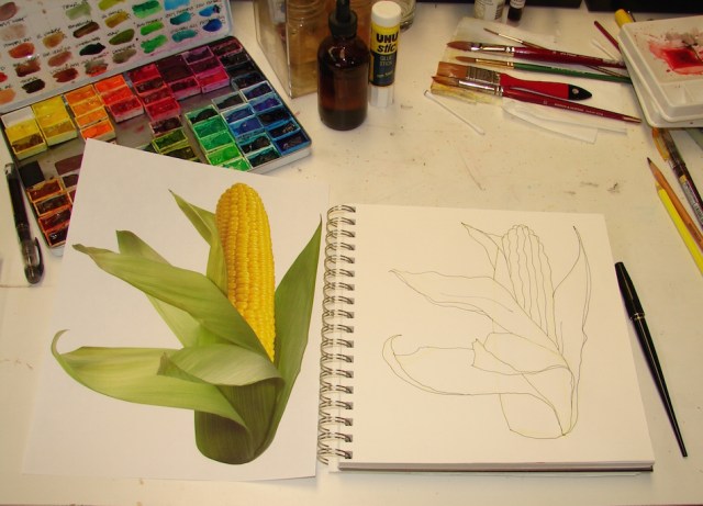 W16 3 12 TFK CORN 001