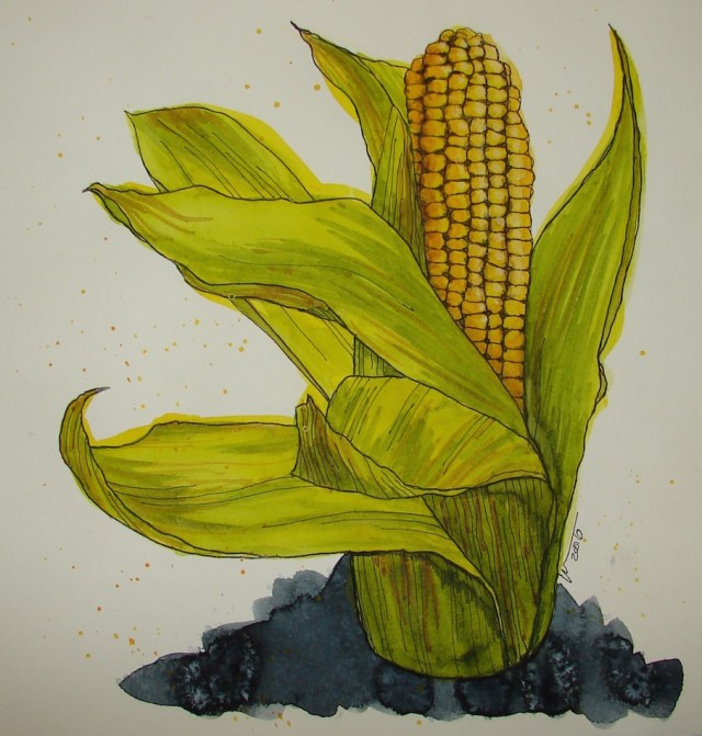 W16 3 12 TFK CORN 015