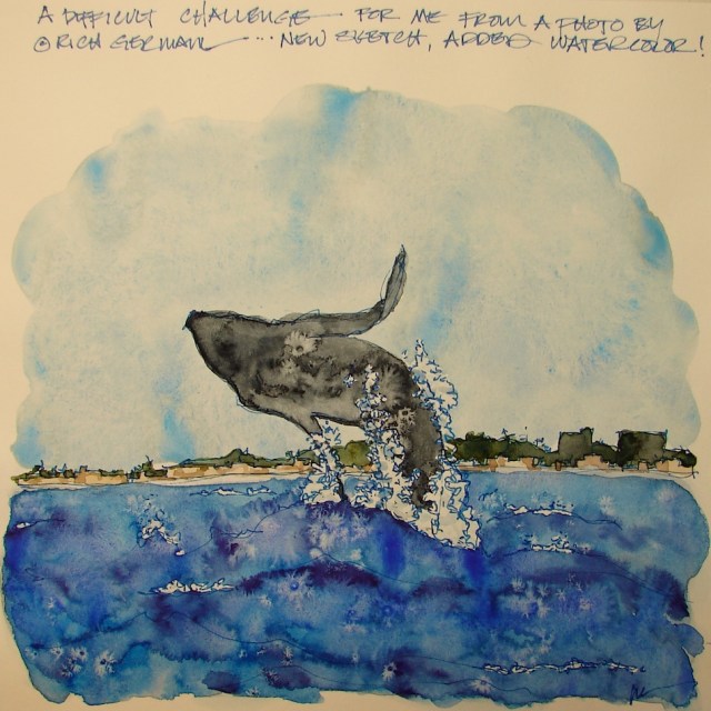 W16 3 2 Rich German Whale 002