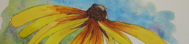 W16 5 19 PENTALIC ECHINACEA BANNER