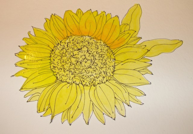 W16 5 20 PENTALIC SUNFLOWER 05