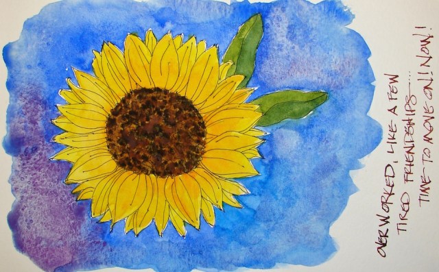 W16 5 20 PENTALIC SUNFLOWER 07