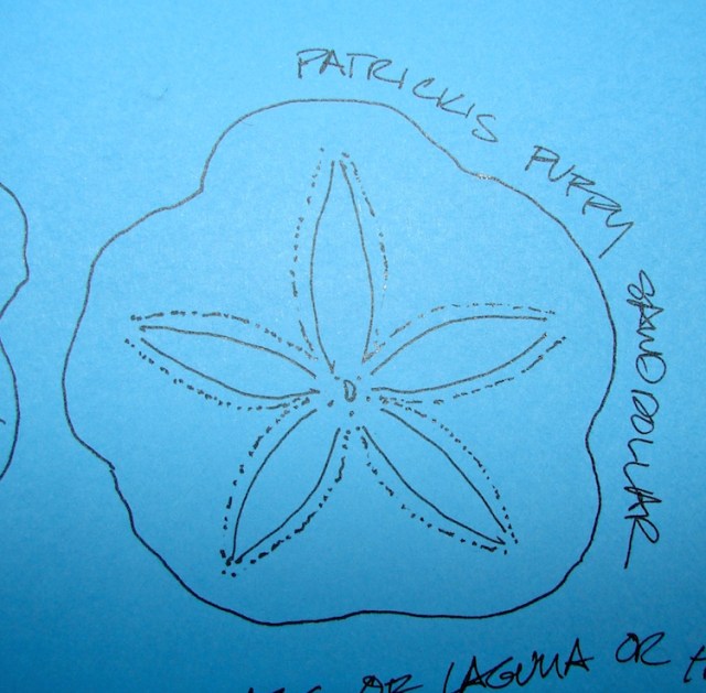 W16 5 5 ALTAR DISH 04