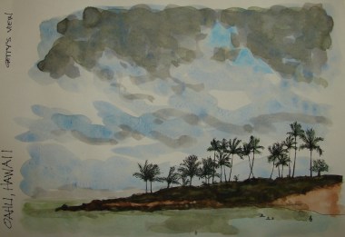 W16 6 3 VSW OAHU PALMS 006