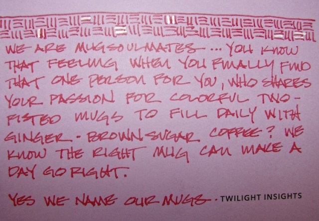 W16 6 4 BI FIESTA MUG 05