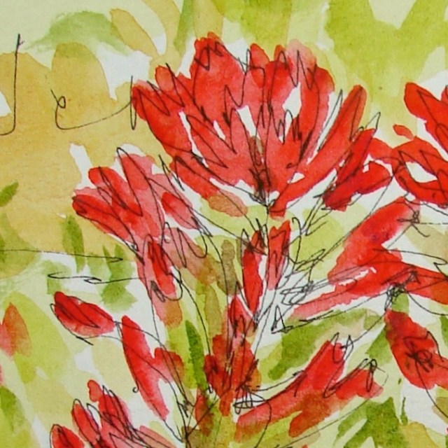 W16 7 14 PENTALIC INDIAN PAINTBRUSH 03 SQ