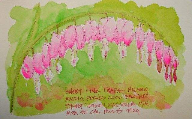 W16 7 15 PENTALIC BLEEDING HEARTS 02