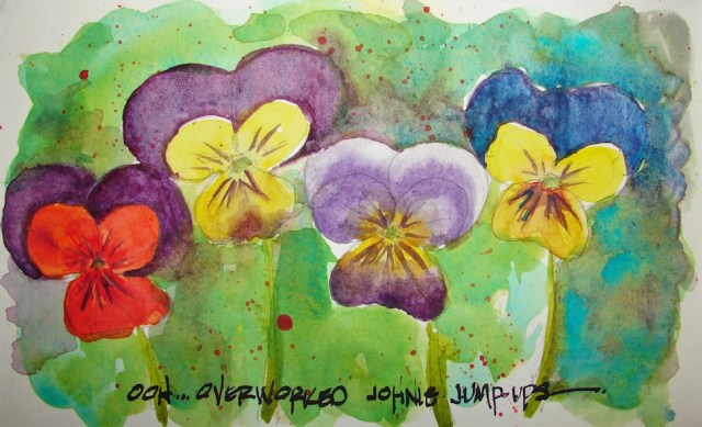 W16 7 30 PENTALIC JOHNNY JUMP-UP 01