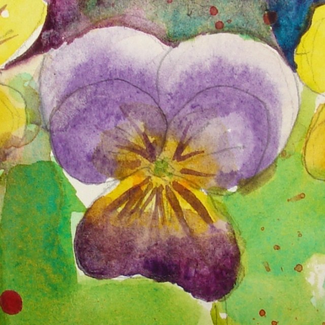 W16 7 30 PENTALIC JOHNNY JUMP-UP 05 SQ