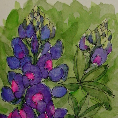 W16 7 7 PENTALIC LUPINES 03 SQ