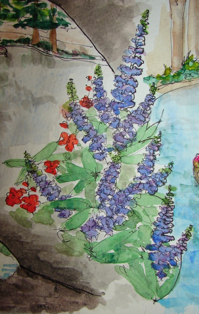 W16 8 2 VSW SAN ANTONIO 05