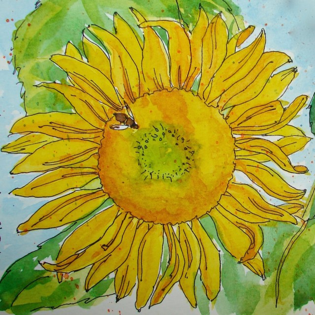 w16-9-11-pentalic-cheryl-sunflower-08-sq