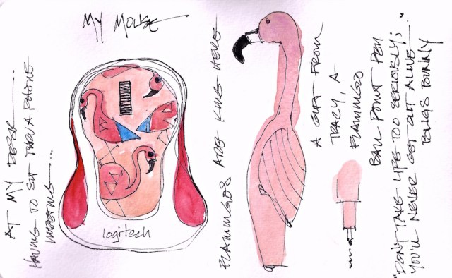 w16-12-pentalic-flamingo-1