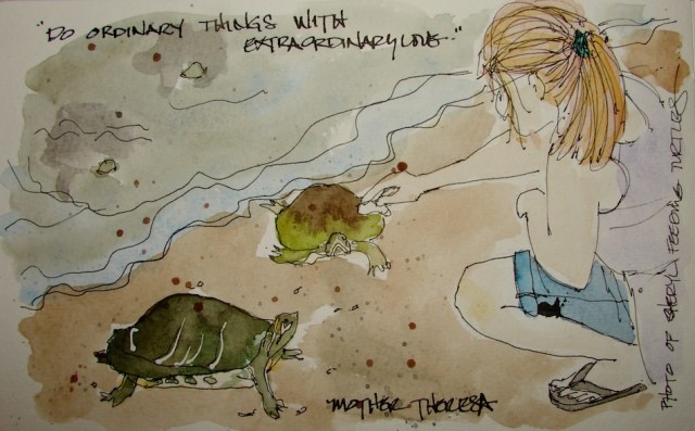 w16-12-4-pentalic-vsw-ch-turtle-02