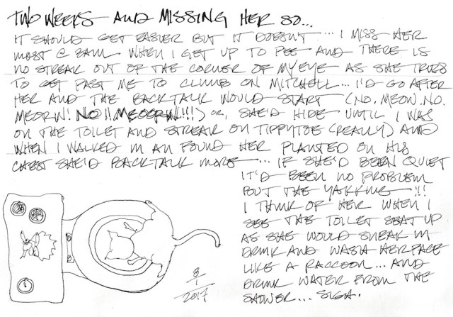 w17-1-8-nost-kamala-memory-300