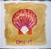 W21 8 14 SKETCHPACK&nbsp;SCALLOP-1364