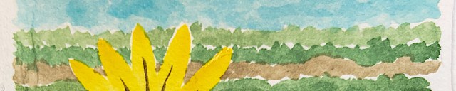 W21 8 6 SKETCHPACK DAISY-1278 BANNER